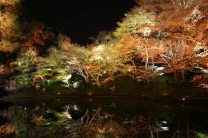 高台寺「夢鏡」池に写る木々も注目