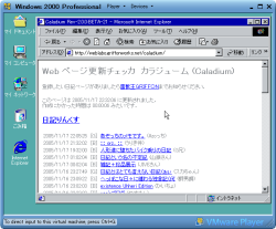 Windows2000 on VMware
