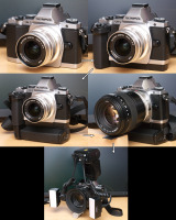 OM-D.jpg : Canon EOS-1Ds Mark III, EF100mm f/2.8L Macro IS USM, 1/250sec F11.0 ISO-1600, 露出補正:0EV