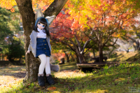 1V6A0800.jpg : Canon EOS R5, Canon 50mm F1.4 DG HSM | Art 014, 1/250sec F3.2 ISO-100, Ϫ������:0EV