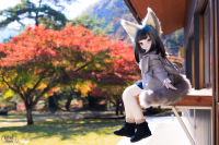 1V6A0816.jpg : Canon EOS R5, Canon 50mm F1.4 DG HSM | Art 014, 1/250sec F4.0 ISO-100, Ϫ������:0EV