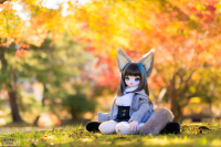 1V6A0823.jpg : Canon EOS R5, Canon 50mm F1.4 DG HSM | Art 014, 1/500sec F1.4 ISO-100, Ϫ������:0EV