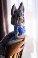 1V6A3303.jpg : Canon EOS R5, Canon EF 85mm f/1.2L II, 1/500sec F1.2 ISO-100, Ϫ������:0EV