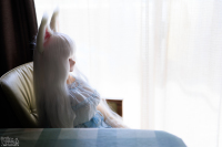 1V6A3330.jpg : Canon EOS R5, Canon 50mm F1.4 DG HSM | Art 014, 1/250sec F1.4 ISO-100, Ϫ������:0EV